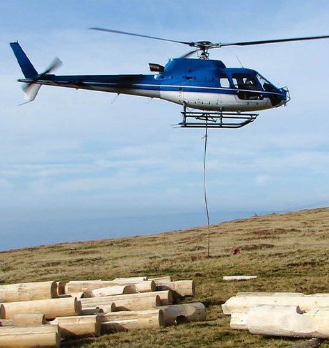 Springfield Helicopter Logging